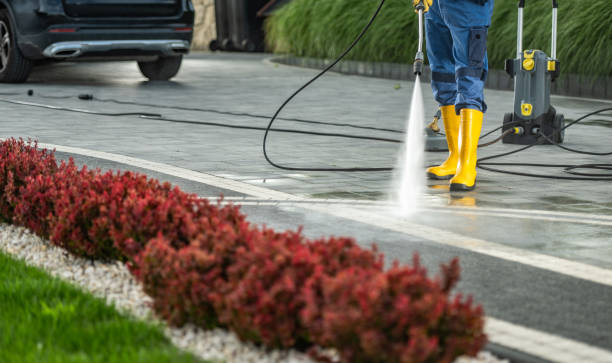 Best Driveway Pressure Washing  in Colesville, MD